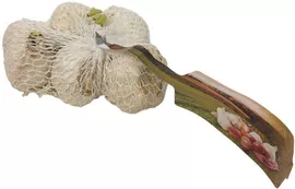 Image without description