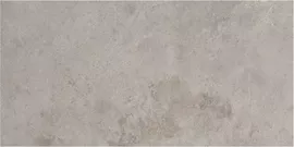 Image without description