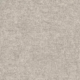 Image without description