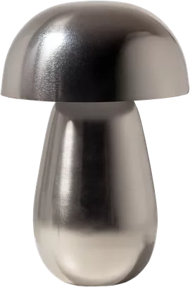 Image without description