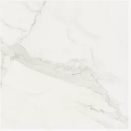 Image without description