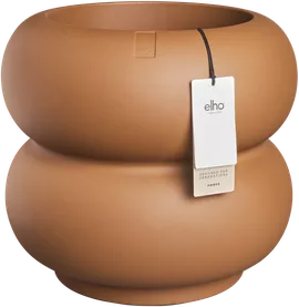 Image without description