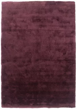 Image without description