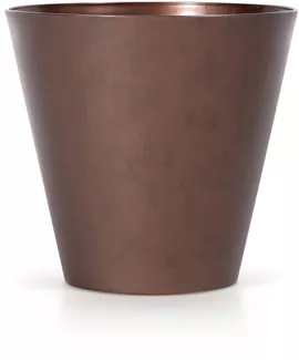 Image without description