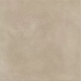 Image without description