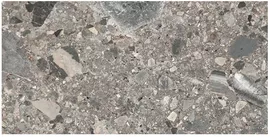 Image without description