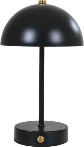 Image without description