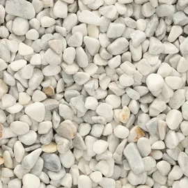 Image without description