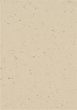 Image without description