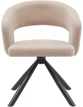 Image without description