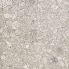 Image without description