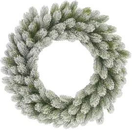 Image without description