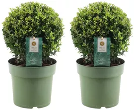 Image without description