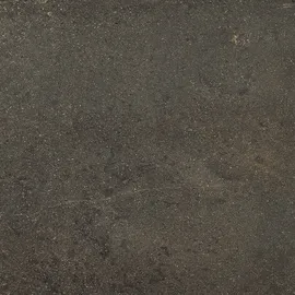 Image without description