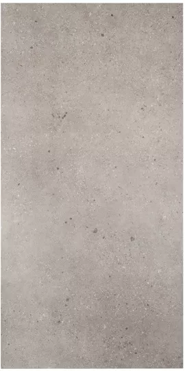 Image without description