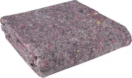 Image without description