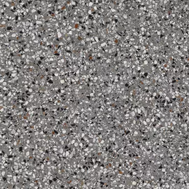 Image without description