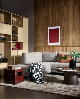 Image without description