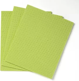 Image without description