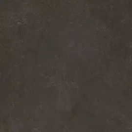 Image without description