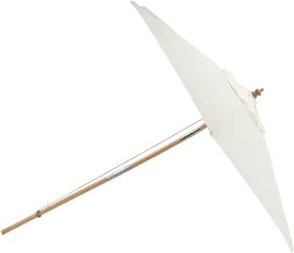 Image without description