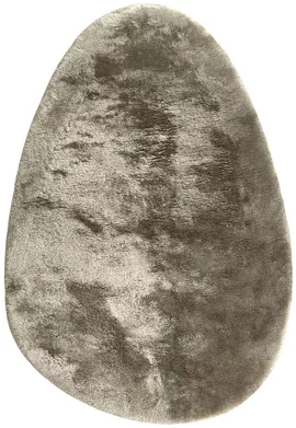 Image without description