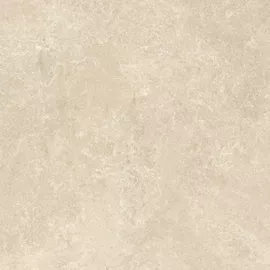 Image without description