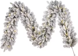 Image without description