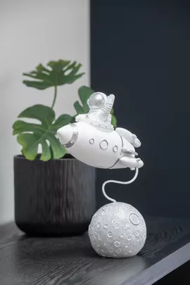 Image without description