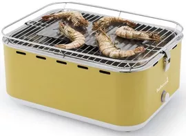 Image without description