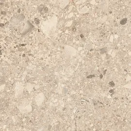 Image without description
