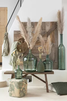 Image without description