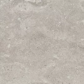 Image without description