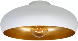 Image without description