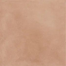 Image without description