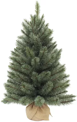 Image without description