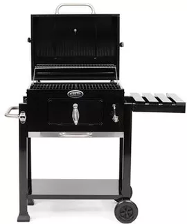 Image without description