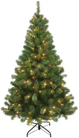 Image without description