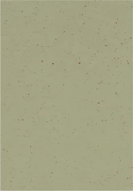 Image without description