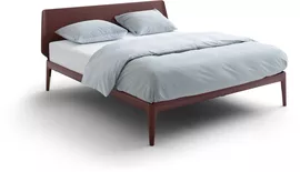 Image without description