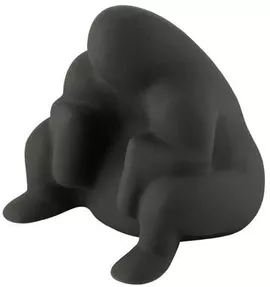 Image without description