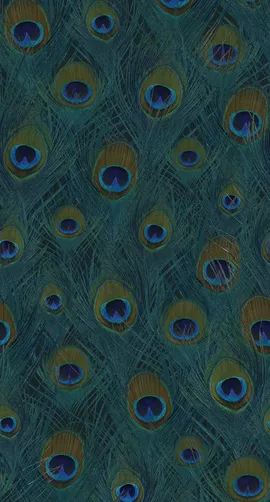Image without description