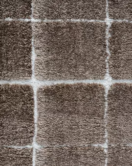 Image without description