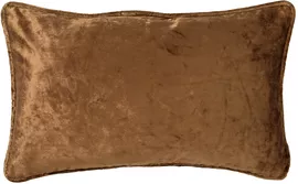 Image without description