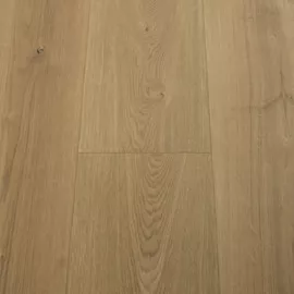 Image without description