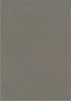 Image without description