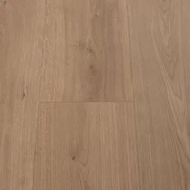 Image without description