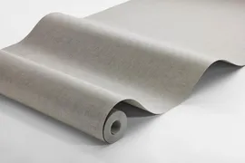Image without description
