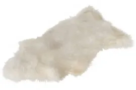 Image without description