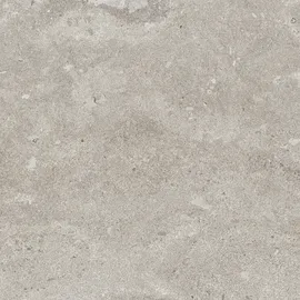 Image without description